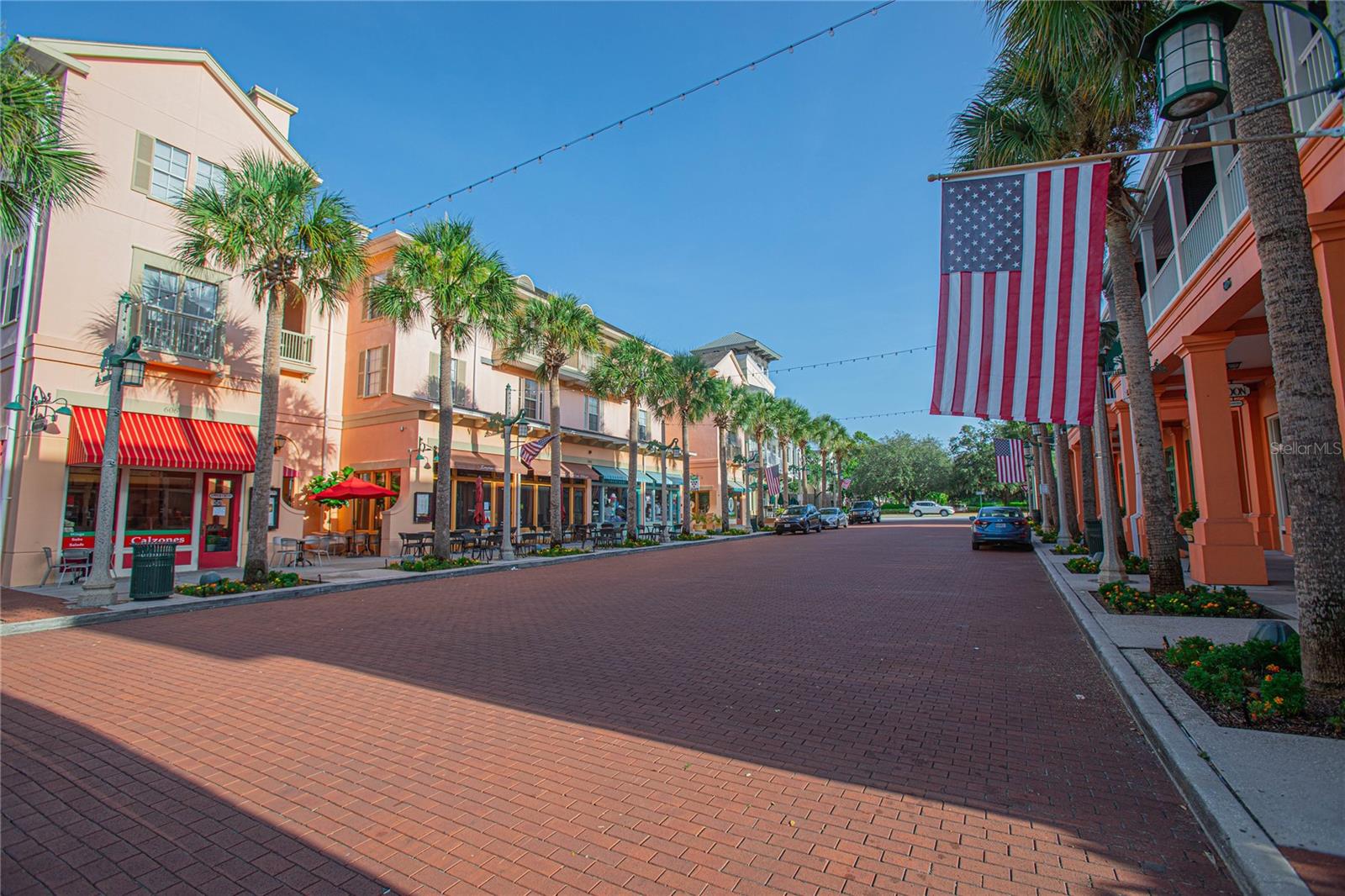 CELEBRATION RESIDENTIAL OWNER'S ASSOCIAT - Residential