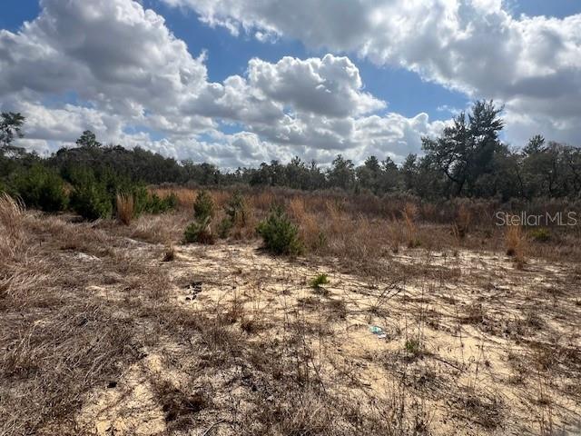 351 MARION OAKS BOULEVARD