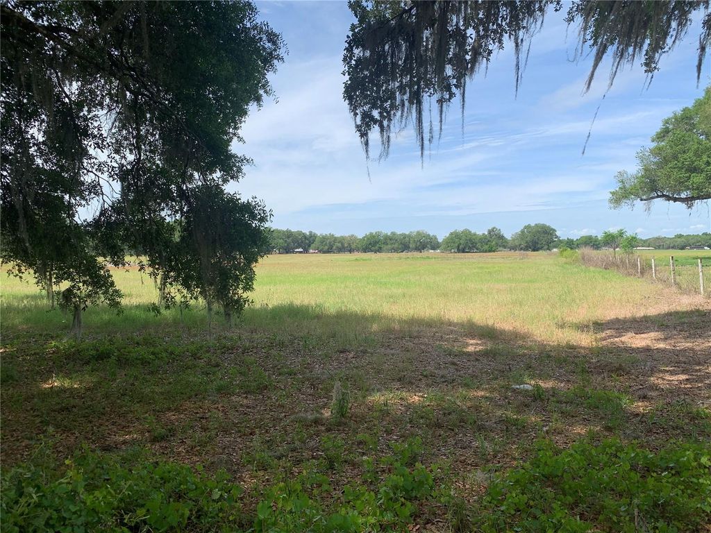 Photo of 727, Webster, FL 33597 (MLS # G5110621)