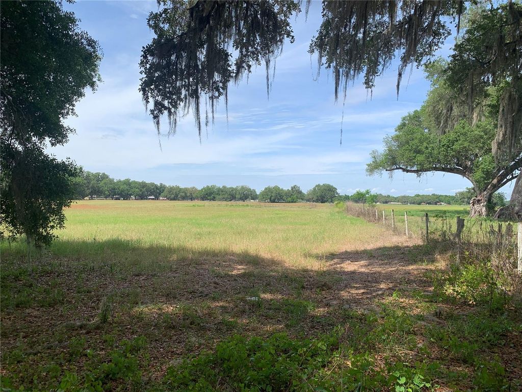 Photo of 727, Webster, FL 33597 (MLS # G5110621)