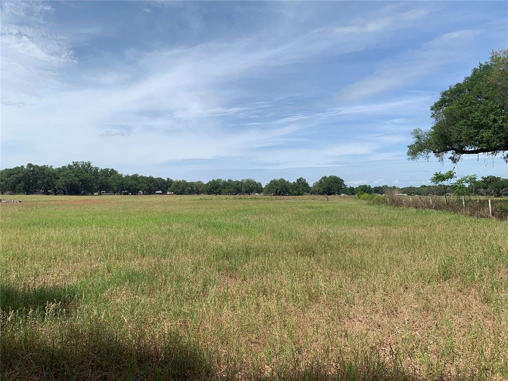 Photo of 727, Webster, FL 33597 (MLS # G5110621)