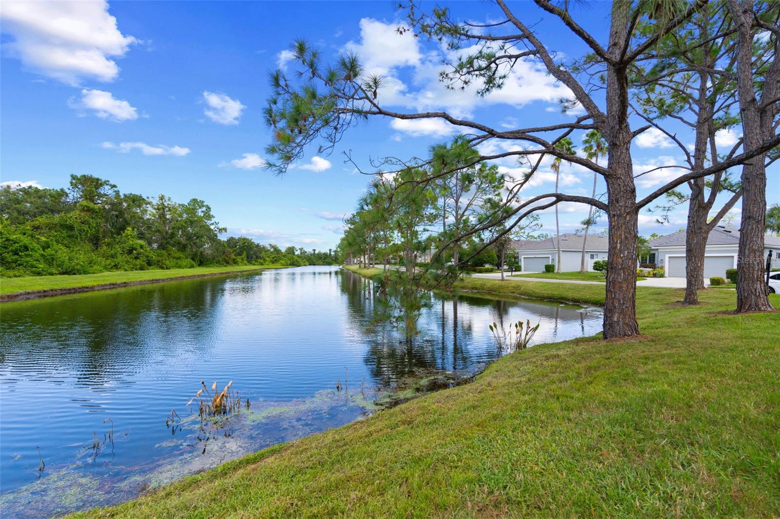 ROSEDALE 11 - Residential