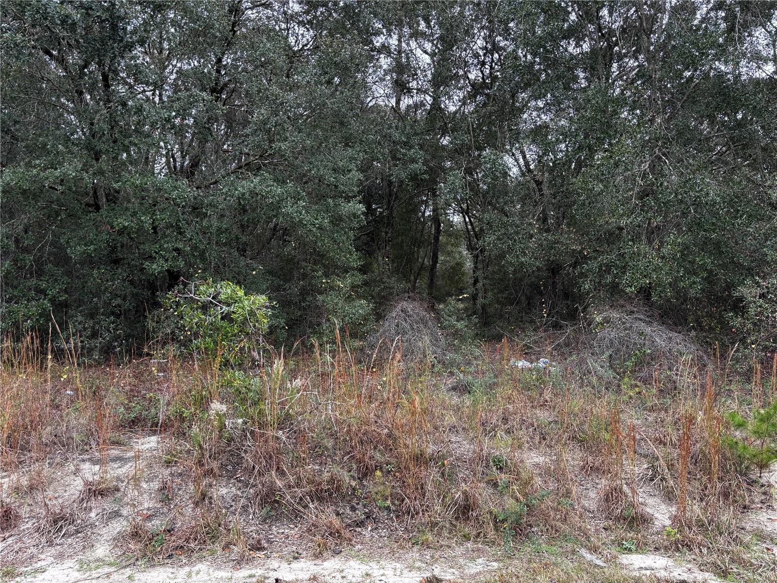 SILVER SPNG SHORES - Land