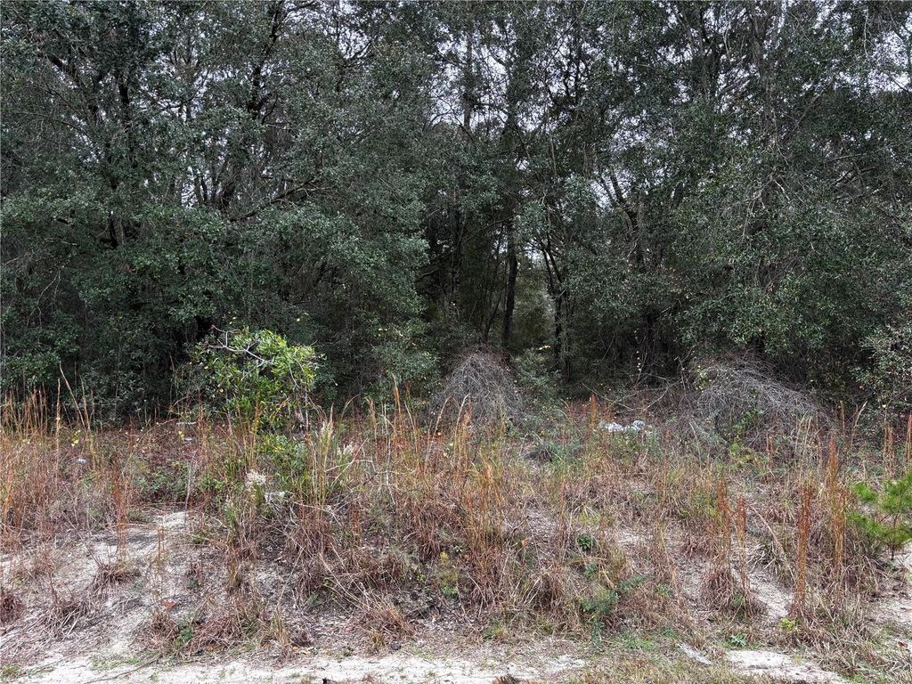 Photo of SE 115th Place Road, Ocklawaha, FL 32179 (MLS # OM714761)