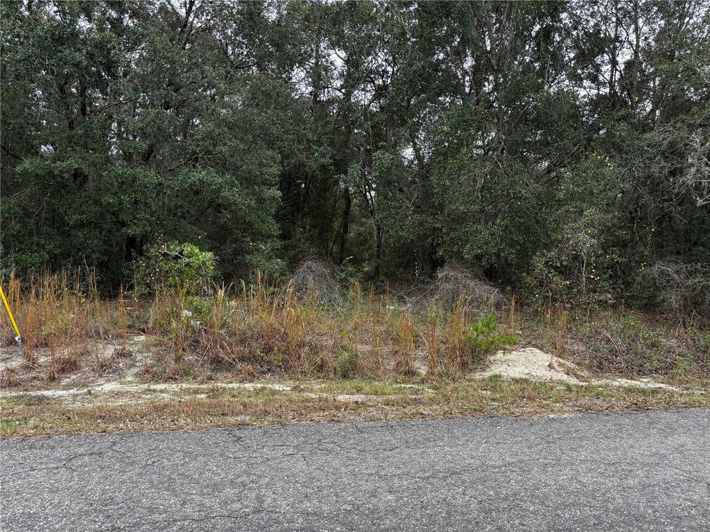 Photo of SE 115th Place Road, Ocklawaha, FL 32179 (MLS # OM714761)