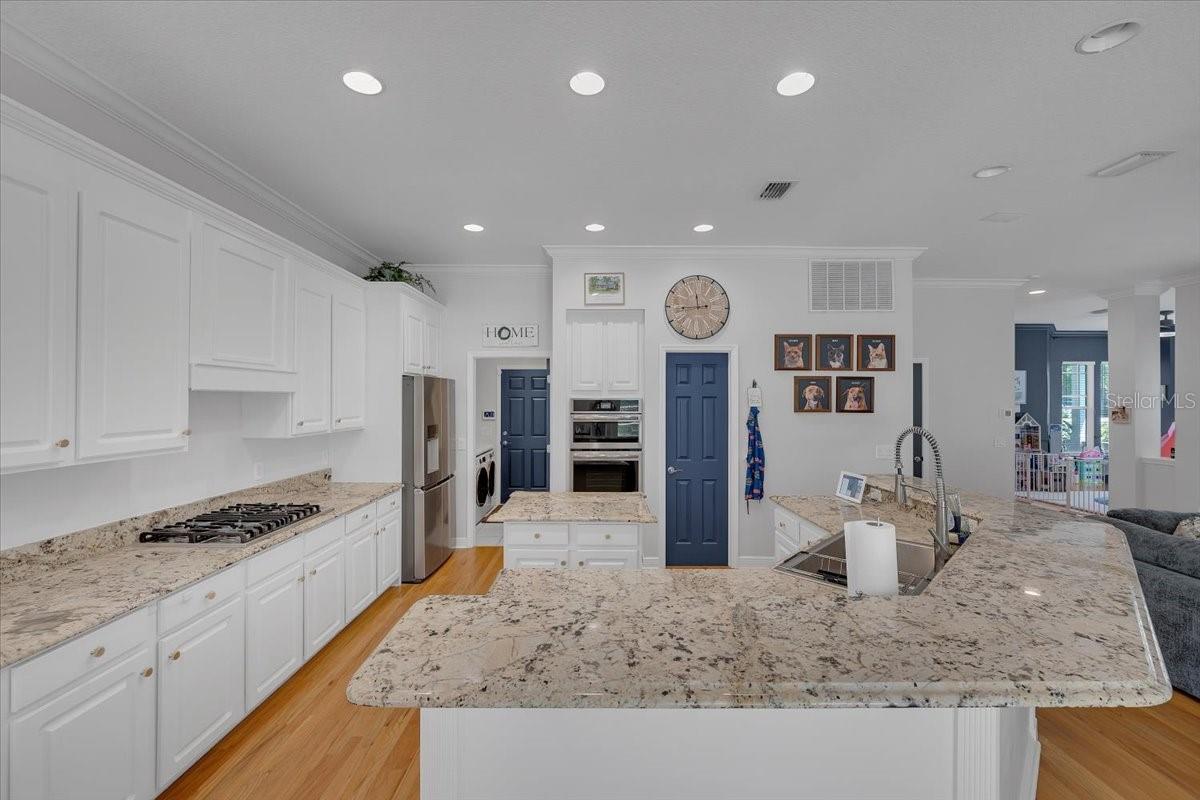 FISH HAWK TRAILS - Residential