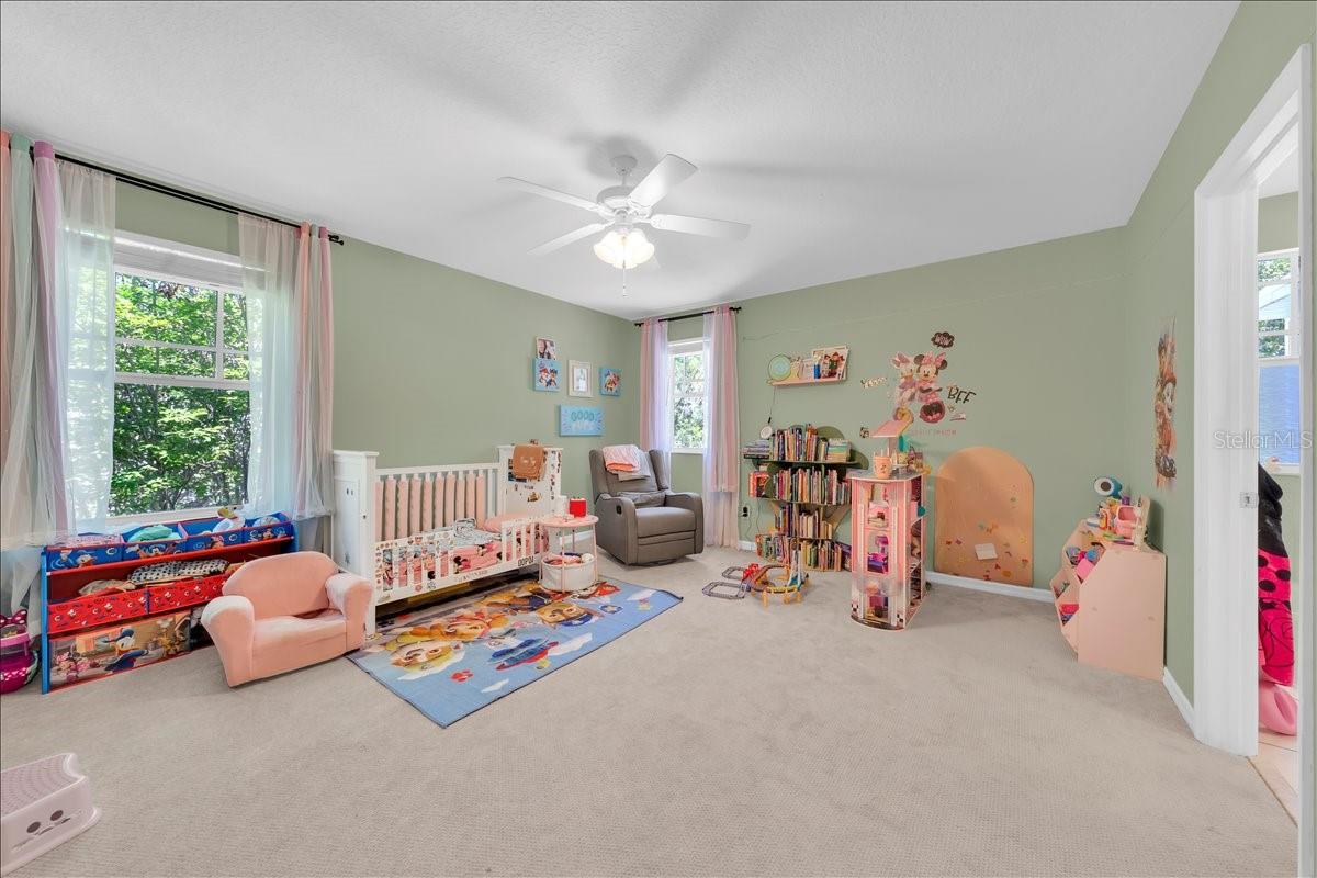 FISH HAWK TRAILS - Residential