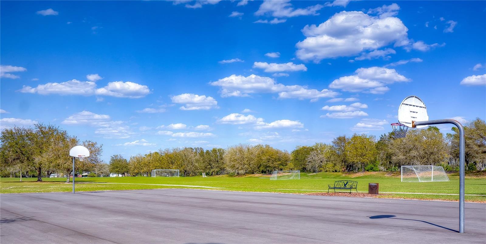 FISH HAWK TRAILS - Residential