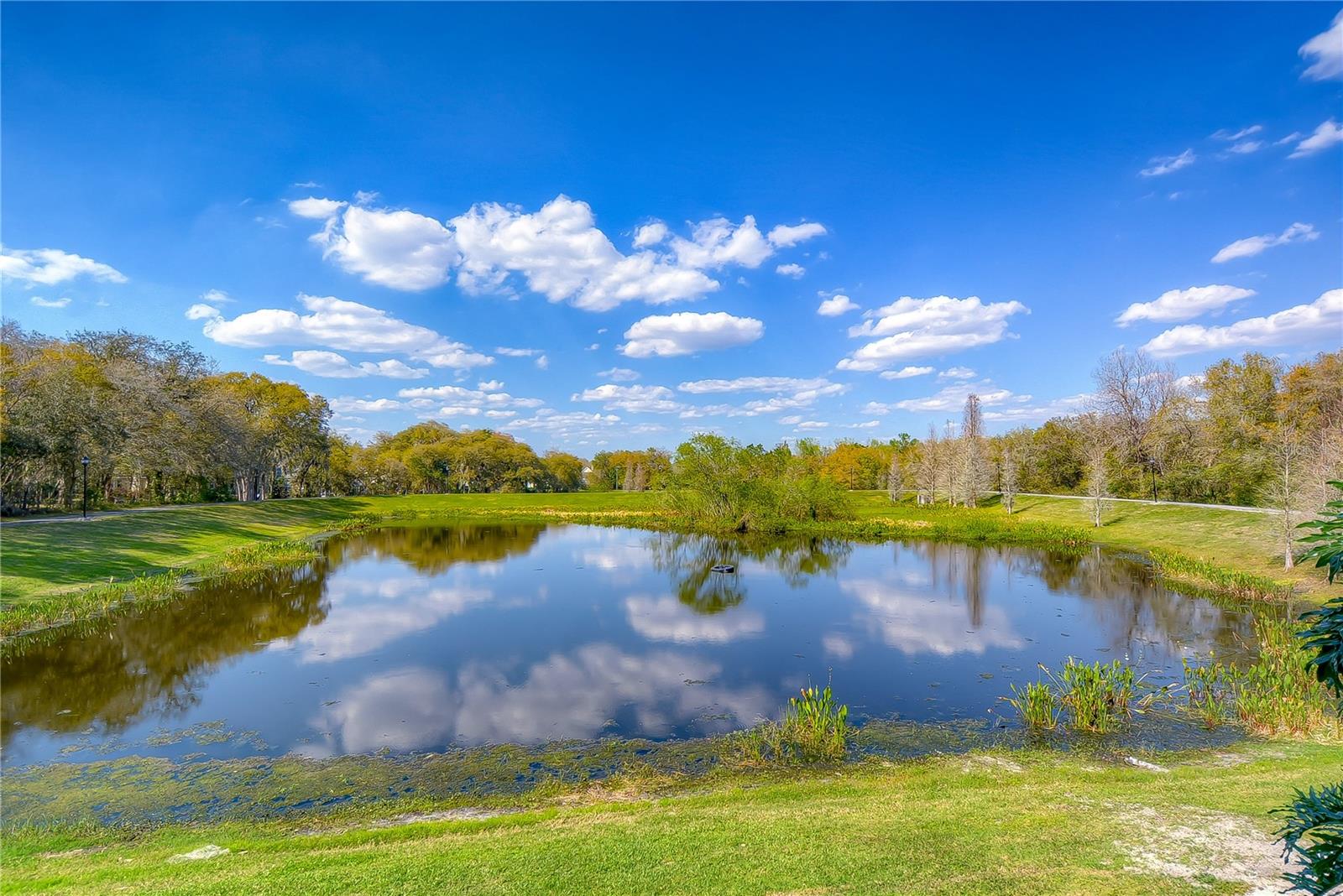 FISH HAWK TRAILS - Residential
