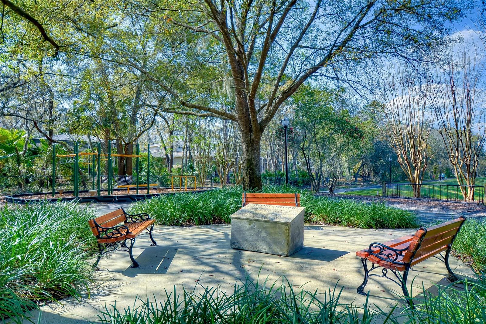 FISH HAWK TRAILS - Residential