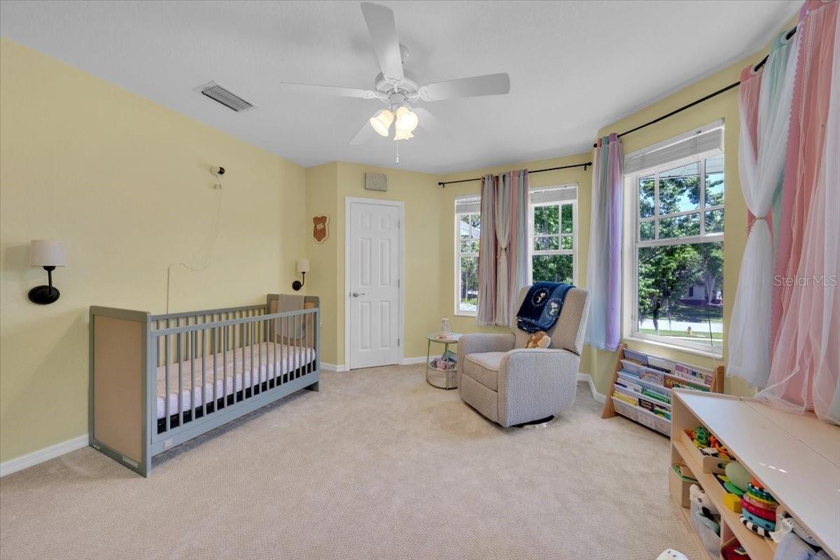 FISH HAWK TRAILS - Residential