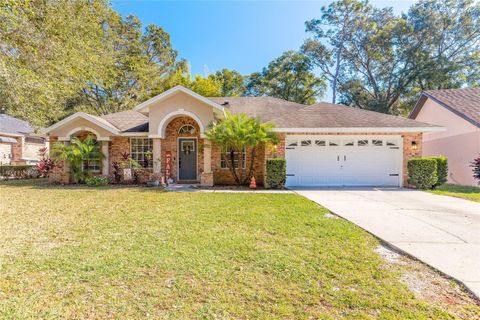 431 SECLUDED OAKS TRAIL DELAND FL 32724