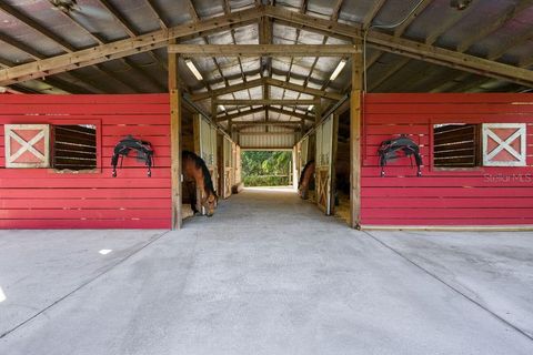 A home in ORLANDO