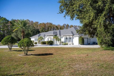 A home in ORLANDO