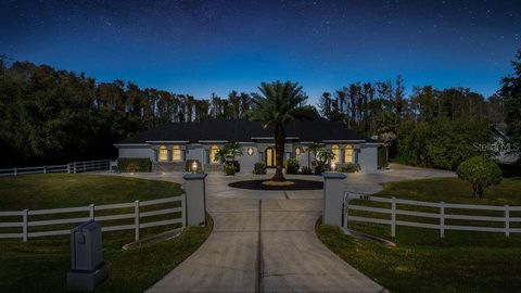 A home in ORLANDO