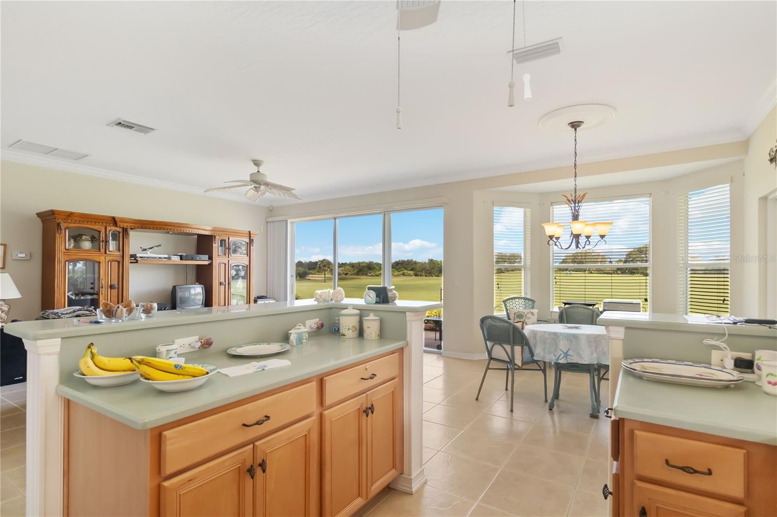 774 GOSSAMER WING WAY