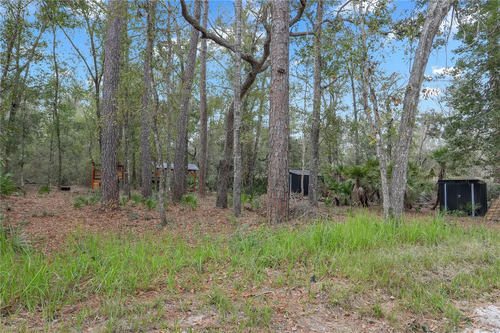 SUWANNEE GARDENS - Land