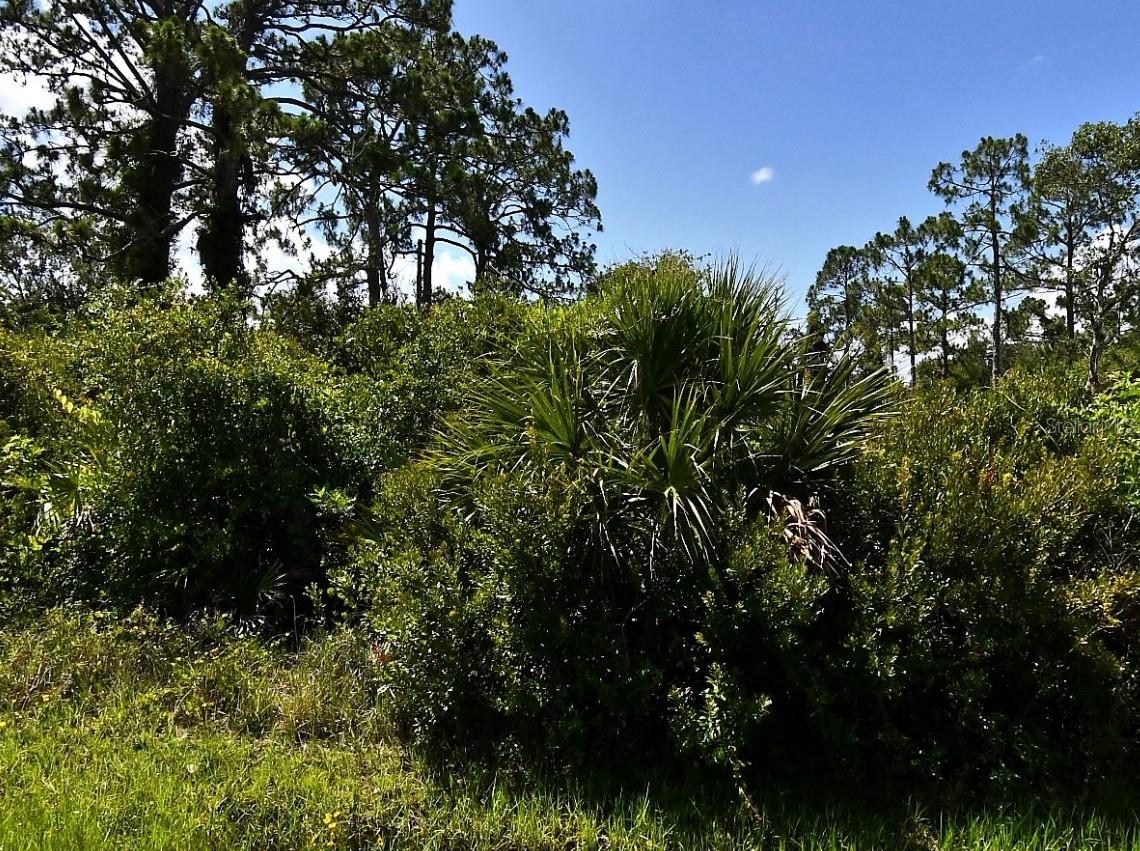 DE MIRANDA AVENUE, NORTH PORT, FL, 34287 1 DE MIRANDA AVENUE