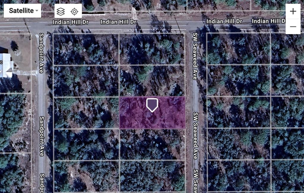 Photo of SW Seaweed Avenue, Dunnellon, FL 34431 (MLS # TB8436933)