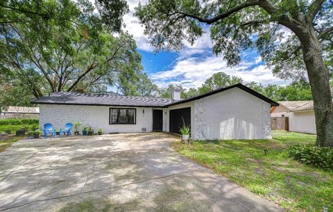 4911 COUNTRY AIRE LANE TAMPA FL 33624