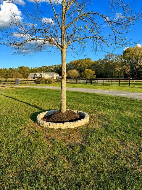 Tiny photo for 5440 NE 31st Terrace, Ocala, FL 34479 (MLS # O6402756)