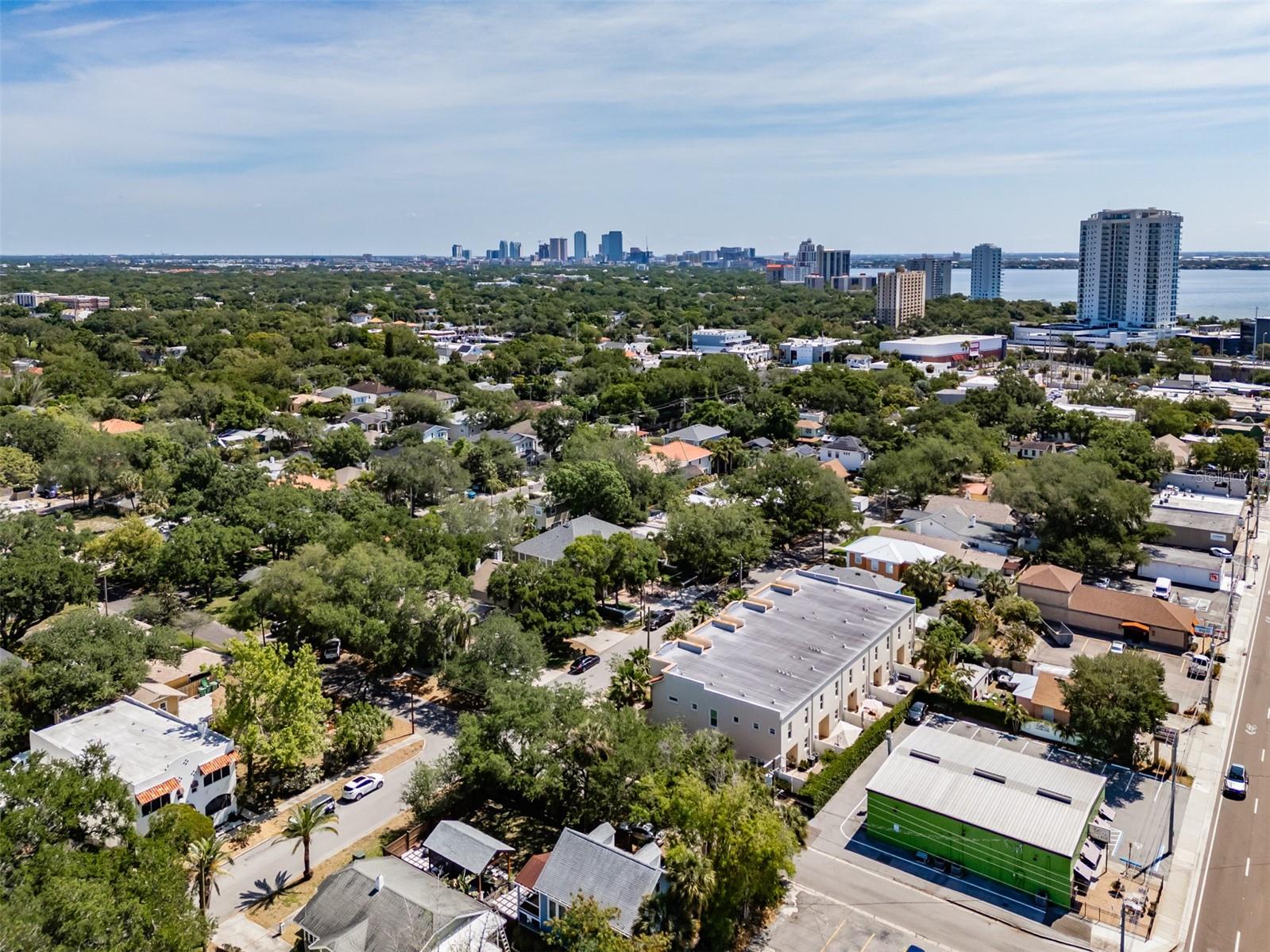 EMPEDRADO OAKS TWNHMS - Residential