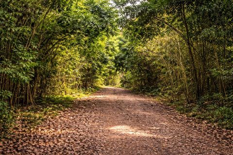 Solar 36 BO FRONTON CIALES  00638