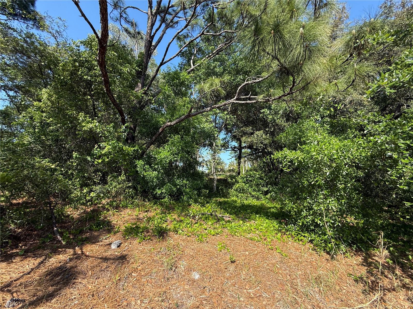 HIGHLAND LAKES - Land