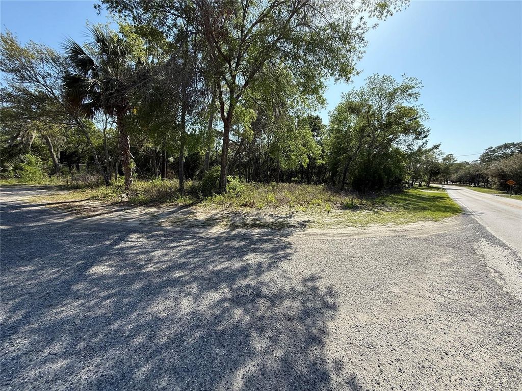 Photo of Indian Trail Road, Brooksville, FL 34613 (MLS # TB8372153)