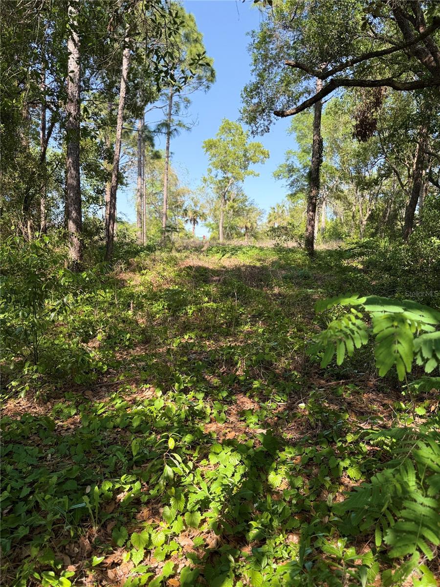 HIGHLAND LAKES - Land