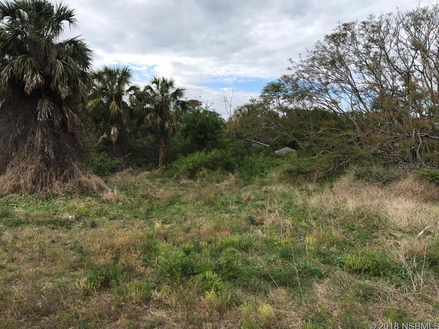 Beautiful 75x150 building site in desirable Cory Estates.  Located between US 1 and the river and has a community boat ramp.  Additional connecting 75x150 lot is also available separately.; Cleared: Partial ;Water: Available at Site