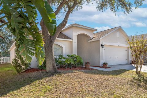Photo of 3554 Osprey Cove Drive, Riverview, FL 33578 (MLS # T3548747)