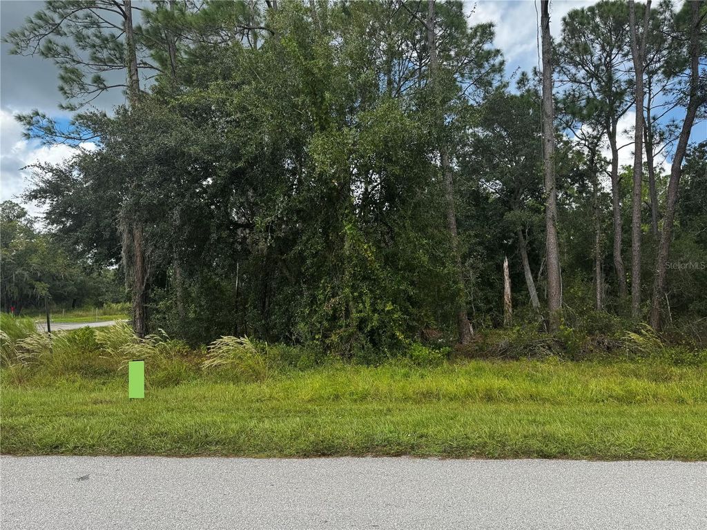 Photo of 8856 Sun N Lake Boulevard, Sebring, FL 33872 (MLS # O6351505)