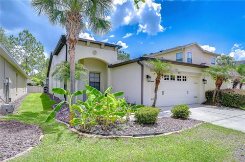 Photo of 7847 Tuscany Woods Drive, Tampa, FL 33647 (MLS # TB8512323)