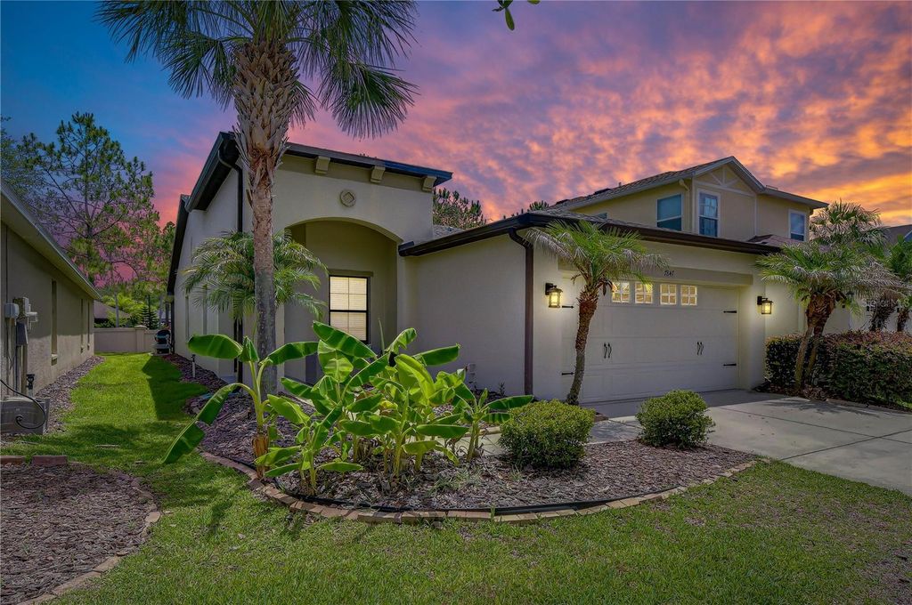 Photo of 7847 Tuscany Woods Drive, Tampa, FL 33647 (MLS # TB8512323)