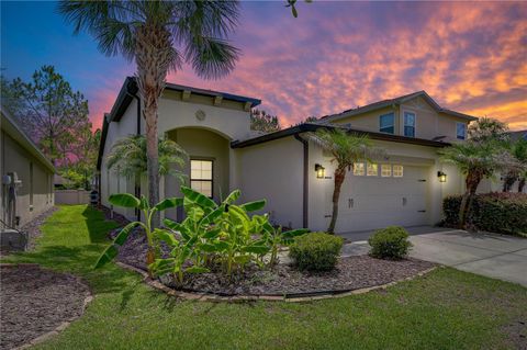 Photo of 7847 Tuscany Woods Drive, Tampa, FL 33647 (MLS # TB8512323)