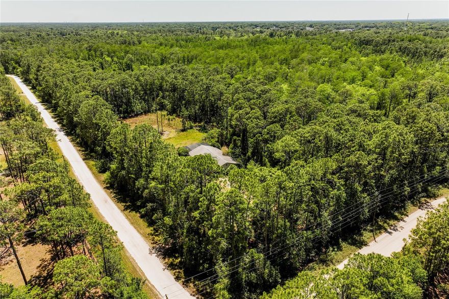 Welcome to your future dream homesite! This stunning  5 -acre parcel offers the tranquility of country living with the convenience of nearby city amenities. Nestled in a serene natural setting, the property includes five acres of  land, surrounded by mature trees.


Located just 20 minutes from both the Sanford-Orlando Airport and downtown Orlando, and only 30 minutes from the University of Central Florida, this property offers the ideal balance of seclusion and accessibility. Whether you’re envisioning a private estate, hobby farm, or weekend retreat, this unique property offers endless potential.  —don’t miss this opportunity to turn your vision into reality.

Call today for more information or to schedule a tour!