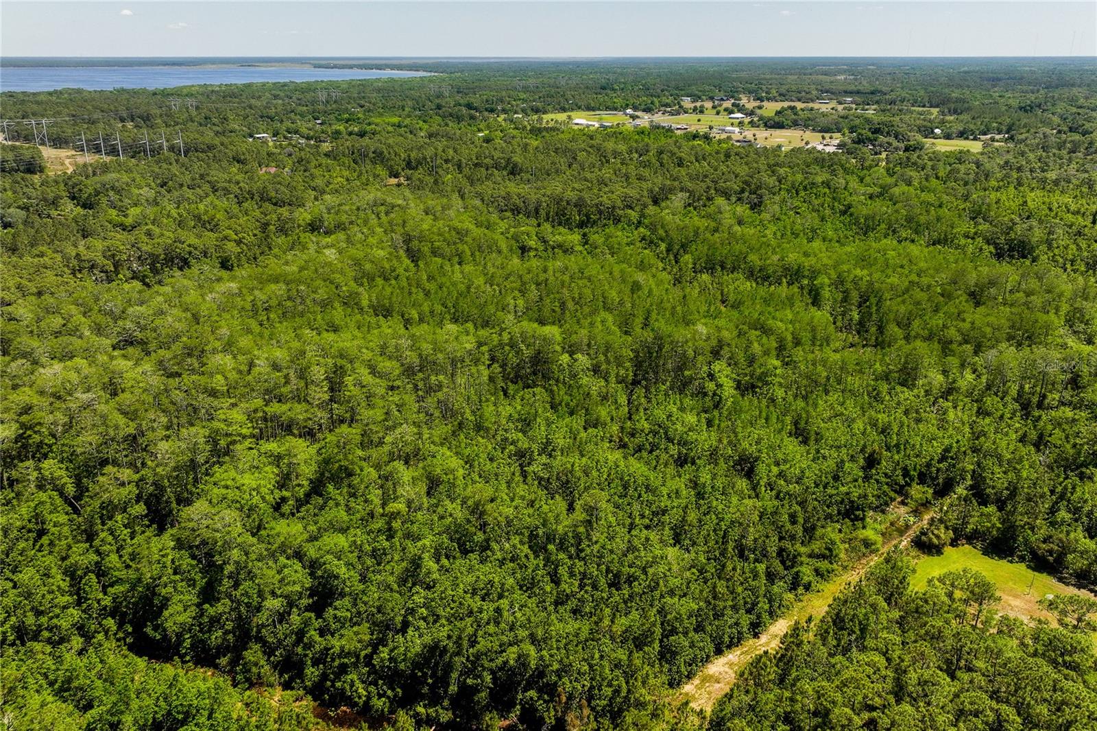 LAKE HARNEY ESTATES 5 ACRE DEV 256 PARCELS - Land