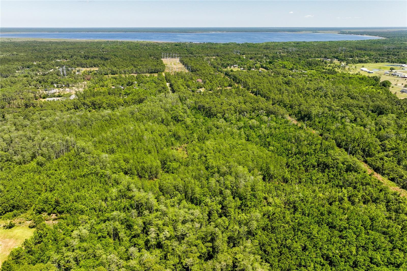 LAKE HARNEY ESTATES 5 ACRE DEV 256 PARCELS - Land