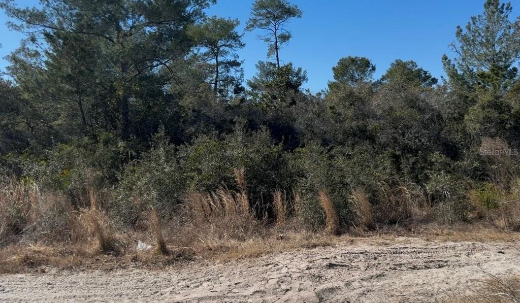 Photo of Joyce (paper) Street, Deltona, FL 32725 (MLS # O6382651)