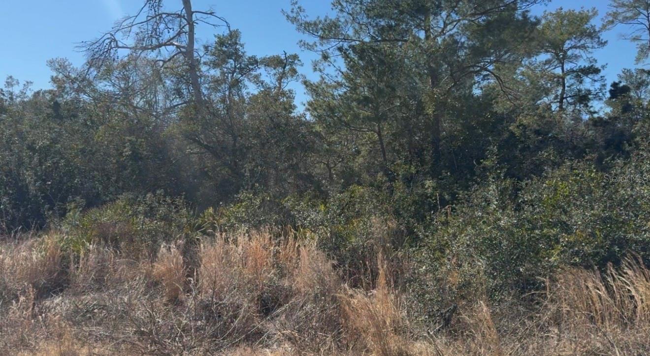 DAVIS PARK ADD 10 - Land