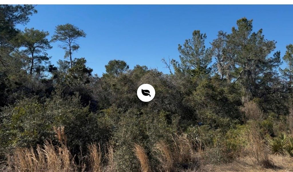 Photo of Joyce (paper) Street, Deltona, FL 32725 (MLS # O6382651)