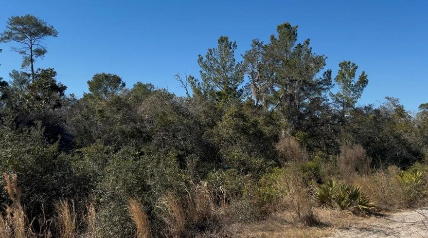 This wooded and private parcel presents a unique opportunity for future development or long-term investment in a growing area of Deltona. Surrounded by natural Florida landscape and mature trees, the property offers a peaceful, secluded setting while still being conveniently located near shopping, major roadways, and the nearby Amazon distribution center.

Just minutes from Daytona Beach and the beautiful Atlantic coastline, this unimproved lot combines privacy with accessibility. While there is currently no direct road access, the property provides a blank canvas with exciting potential for strategic buyers with vision. Whether held as a long-term investment or explored for future access possibilities, this undeveloped homesite offers flexibility and value in an area experiencing continued growth and expansion.