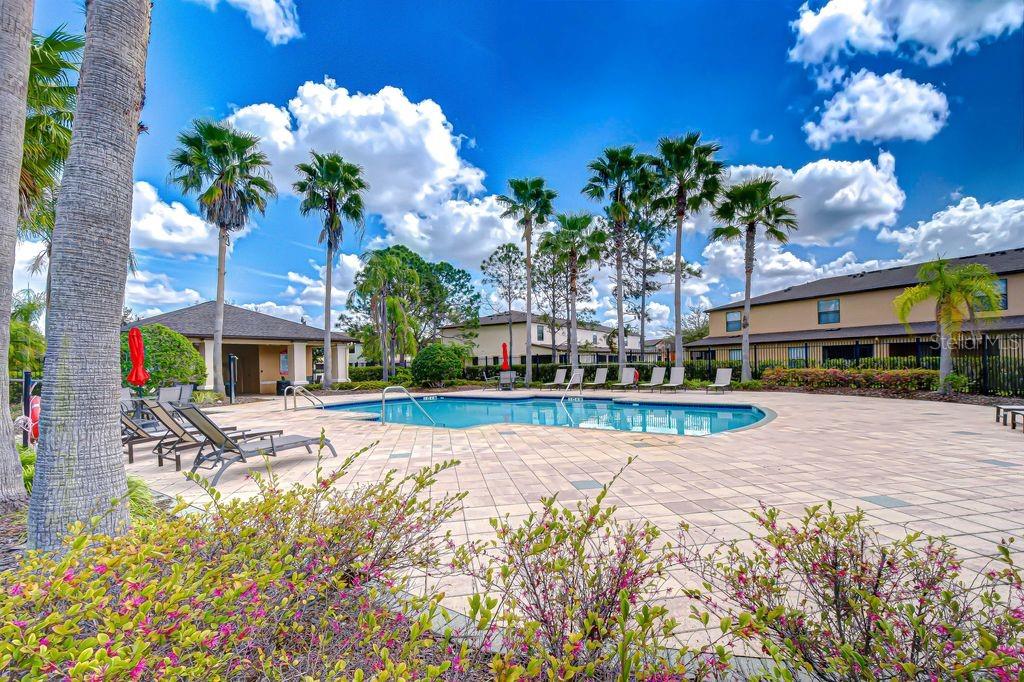 EDGEWATER AT LAKE BRANDON - Residential