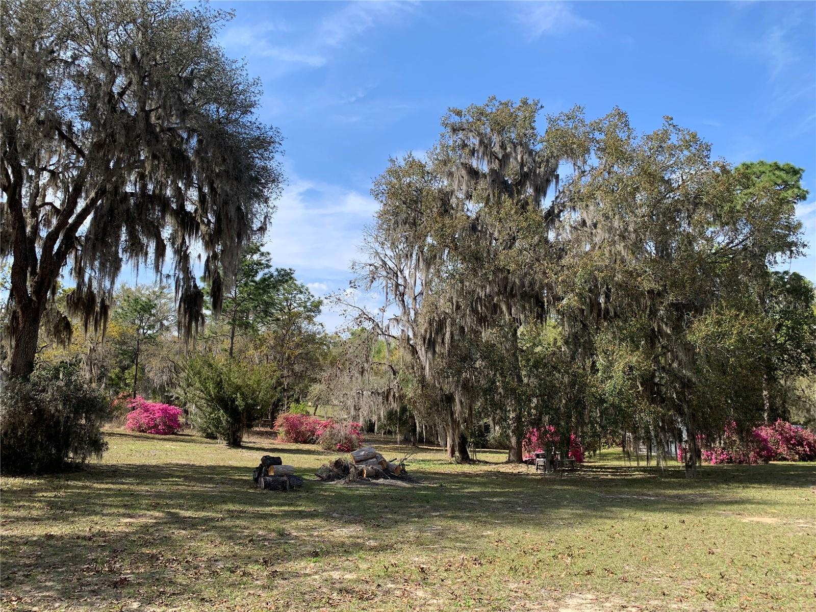 CEDAR LANDING - Residential