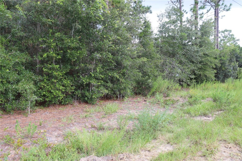 Photo of 00 SW Floral Court, Dunnellon, FL 34431 (MLS # OM731302)