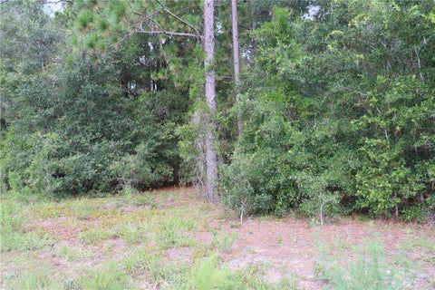 Photo of 00 SW Floral Court, Dunnellon, FL 34431 (MLS # OM731302)
