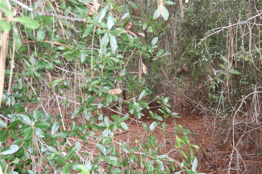 Photo of 00 SW Floral Court, Dunnellon, FL 34431 (MLS # OM731302)