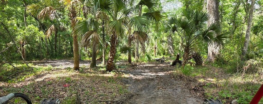 Photo of 0 Paul S Buchman Highway, Zephyrhills, FL 33540 (MLS # TB8505802)
