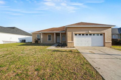 Photo of 6228 Alamanda Hills Boulevard, Lakeland, FL 33813 (MLS # TB8491315)